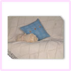 home-furnishing-cushion-2